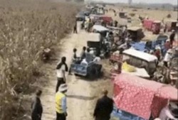 郑州平顶山最新爆料事件,惊人真相揭开背后黑幕