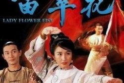 苗翠花在线观看,传奇女侠的江湖传奇