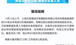郑州平顶山最新爆料事件,惊人真相揭开背后黑幕