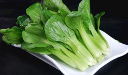青菜爆料视频大全图片高清,青菜爆料视频大全图片精选回顾