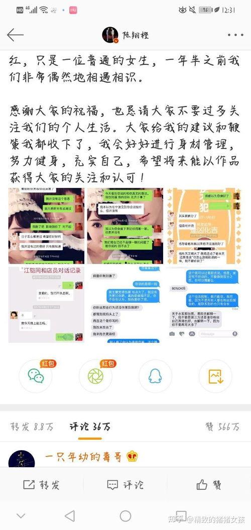 娱乐吃瓜的卖点是什么,吃瓜群众的狂欢盛宴，揭秘明星幕后故事