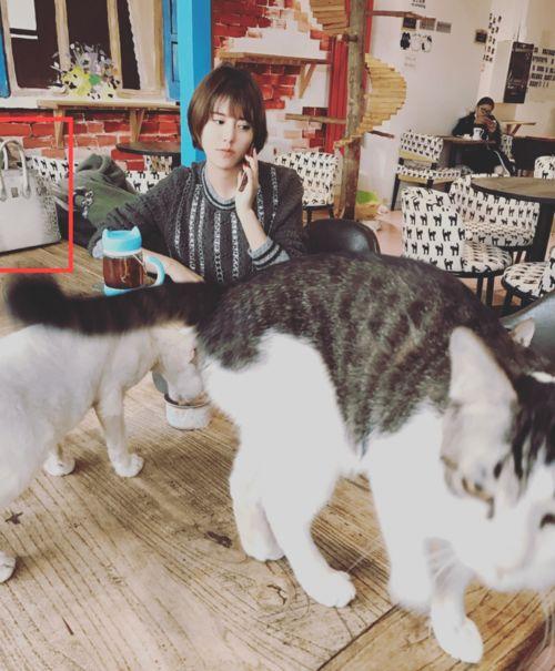 吃瓜娱乐赵小瞒鱼界显眼包,吃瓜娱乐界的焦点人物